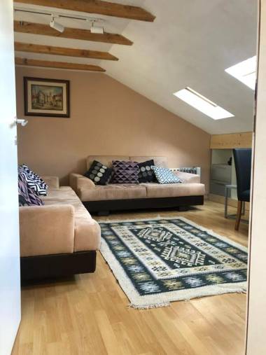 Central apartment