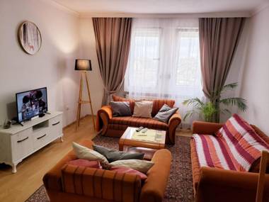 Gorgeous Apartment with City View in the City Center