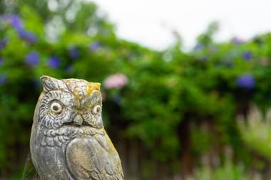 Outeniqua Moon Percheron Stud Farm