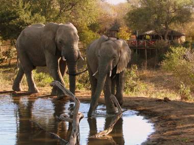 Umlani Bushcamp