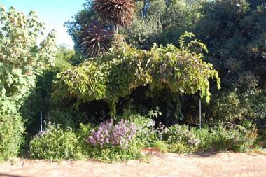 Ascot Gardens Self Catering