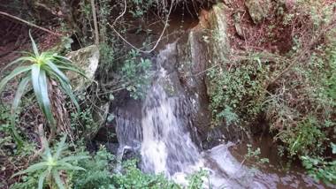 Dolphin View Guesthouse