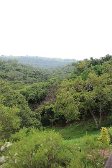 Hot Buttered Toast Self Catering Apartment