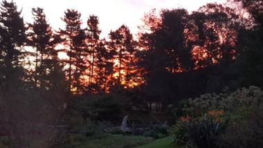 Bella Manga Country Escape