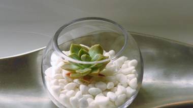 Wilderness Gem Luxury Villa