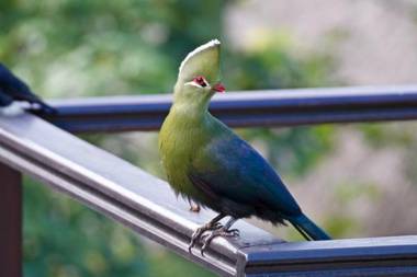 Normarie's Guesthouse