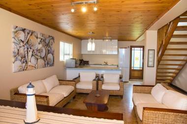 Dolphins on Six - Dusky