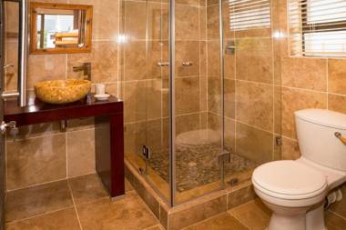 Dolphins on Six - Dusky