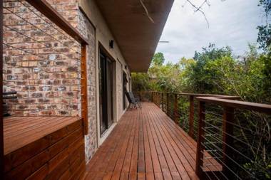 Forest Hill Wilderness