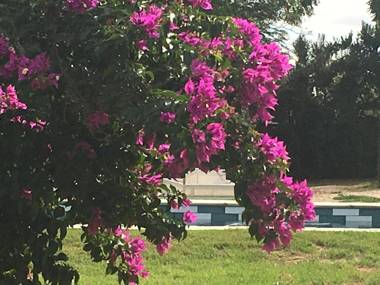 Sweetwater Guesthouse