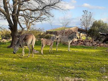 Welbedacht Game & Nature Reserve