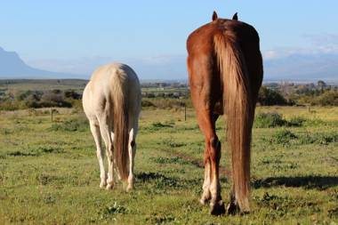 Welbedacht Game & Nature Reserve