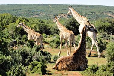 Valley Bushveld Country Lodge