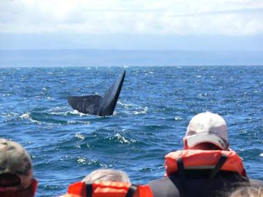 Buffelsdam Country House