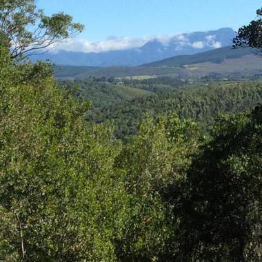 Moon Shine on Whiskey Creek