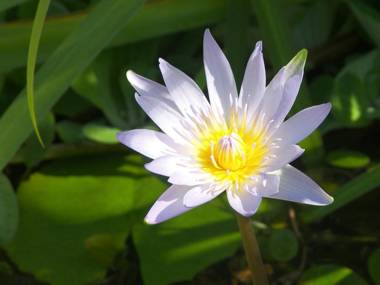 Swellendam Country Lodge - Guest House - B&B