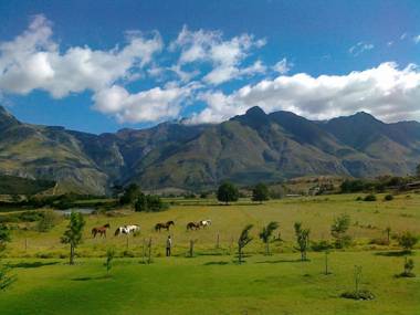 Wildebraam Berry Estate