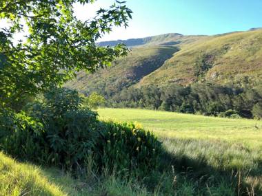 Frog Mountain Getaway