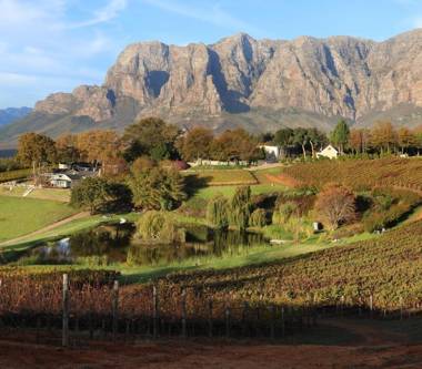 Alluvia Boutique Winery & Luxury Accommodation