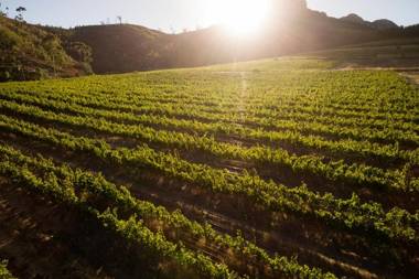 Lanzerac Hotel & Spa