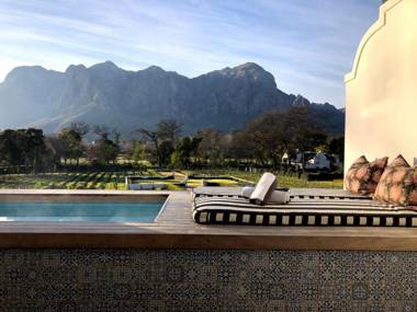 MolenVliet Vineyards