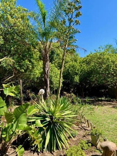 The Little Hideaway Guesthouse