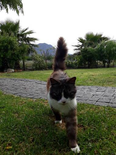 Khashamongo Guesthouse