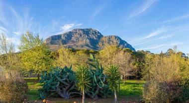 La Felicita Boutique Self Catering Villas