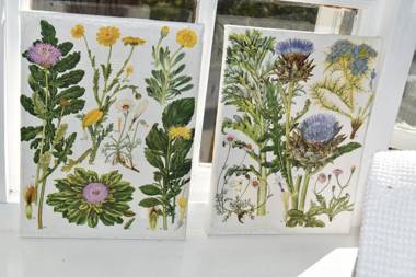 Almond Cottage Bed & Breakfast