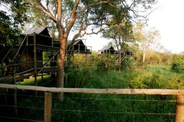 Rhino Walking Safaris