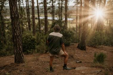 Swartvlei Equestrian Estate