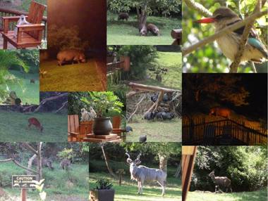 Elephant Coast Guesthouse