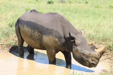 Whalesong Guest House