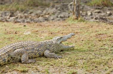 First Group Lake View Cabanas