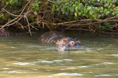 First Group Lake View Cabanas