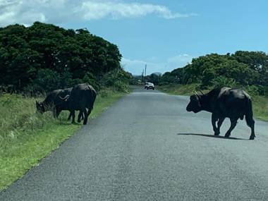 Perna Perna Lodge St Lucia