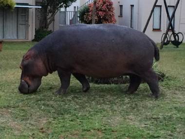 28 and 29 The Bridge