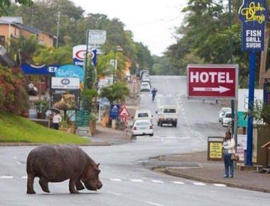 Stokkiesdraai Holiday Apartments