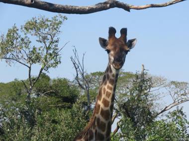 62 The Bridge Holiday Resort