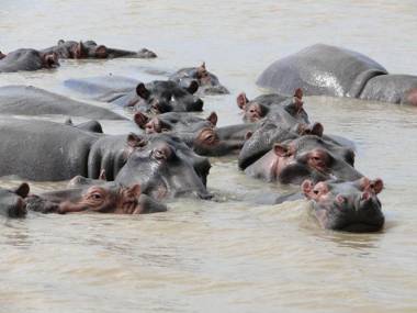 9 The Bridge Holiday Resort