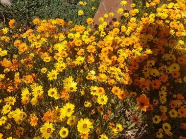 Kleineweide Boutique Estate