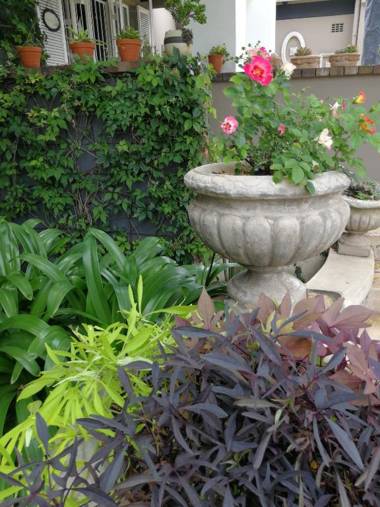 At 98 on Lynburn Guest House