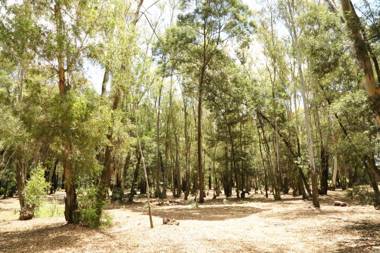 The Highveld Cape Inn