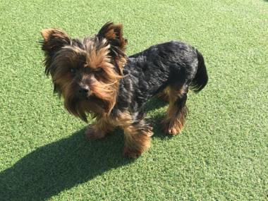 The Blue Lotus Guest House