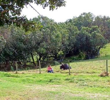 Faithlands Self-Catering Cottages