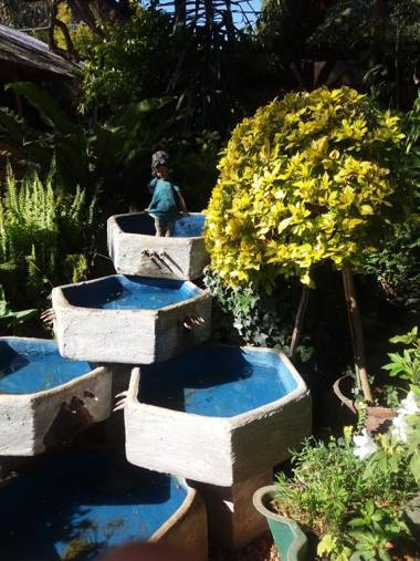 Reggies bed & breakfast