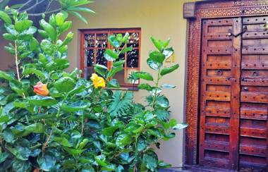 African Root Guest House