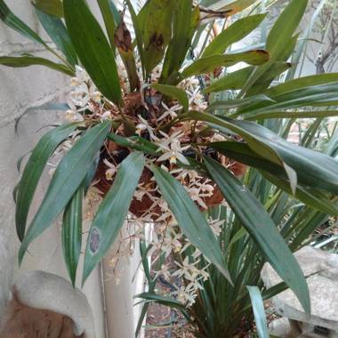 79 On Ridge Bed and Breakfast