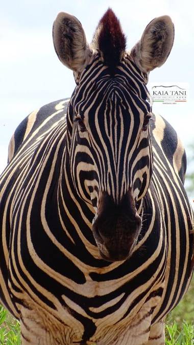 Kaia Tani Exclusive Guesthouse