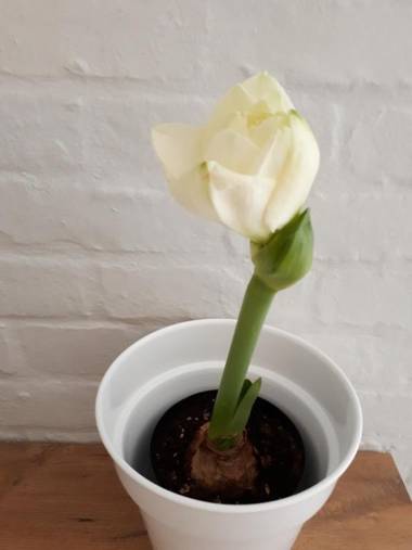 Raw Karoo Guest House